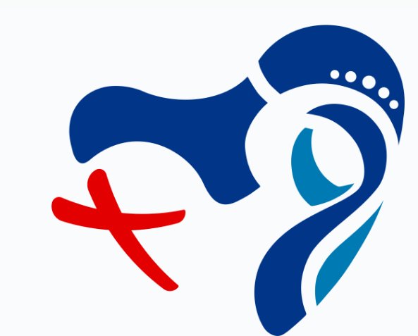 2019 Panama WYD Album