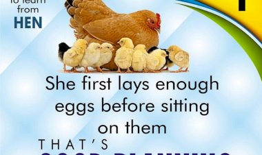 Communique #10 - Reflection on time and productive citizenship