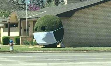 Communique # 14    St Alphonsus     01-08-2020 