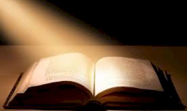 D’excellents remèdes !