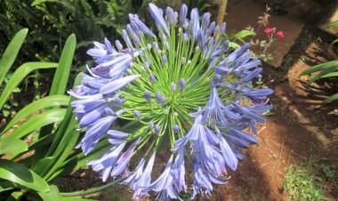 À L'ÉCOUTE DE LA RÉALITÉ