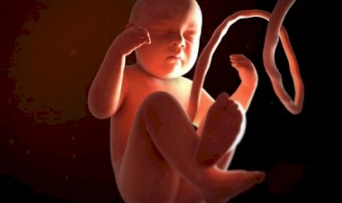 2020 Worldometer provides interesting and sad statistics