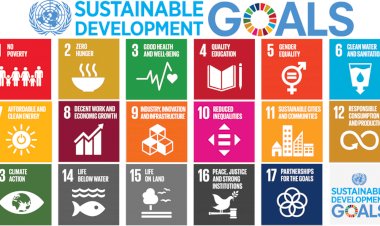 The 17 SDGs and the SDBs