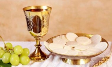 SAFCAM Communiqué #55  - francais