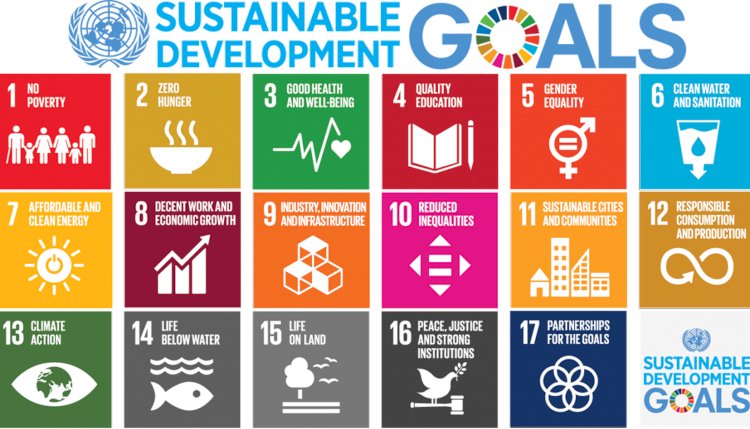 The 17 SDGs and the SDBs