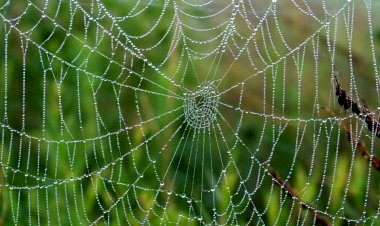 Cyberspace Cannot Replace Sacred Space