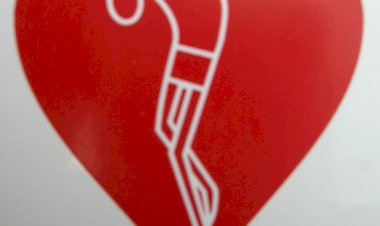 DON BOSCO ET LA BIBLE #20