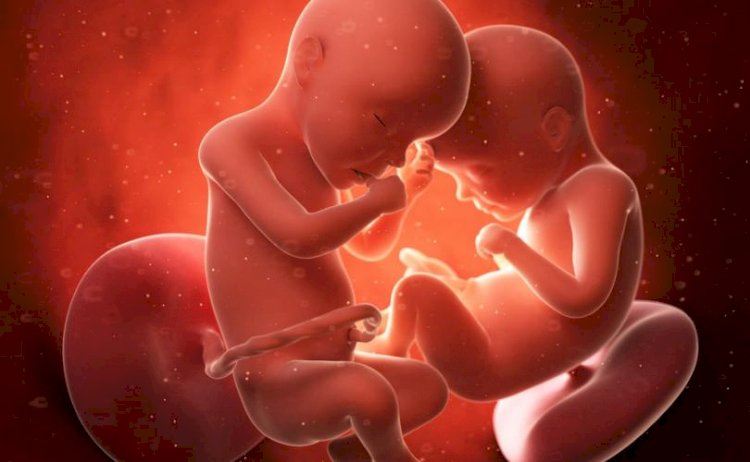 Growth of a baby in the mother's womb