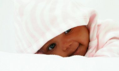 SAFCAM Communique #67 - English