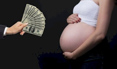 The anti-commercial surrogacy coalition fighting for the respect of human life