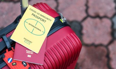 Statistiques mondiales COVID-19 telles que fournies le 16/12/2021