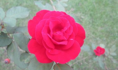 La théologie des vingt-quatre heures