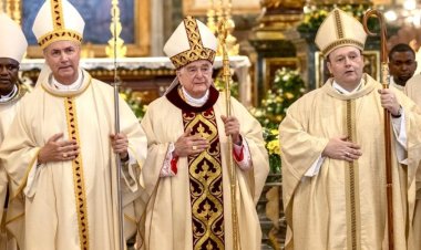 SAFCAM NEWSLETTER - n. 14